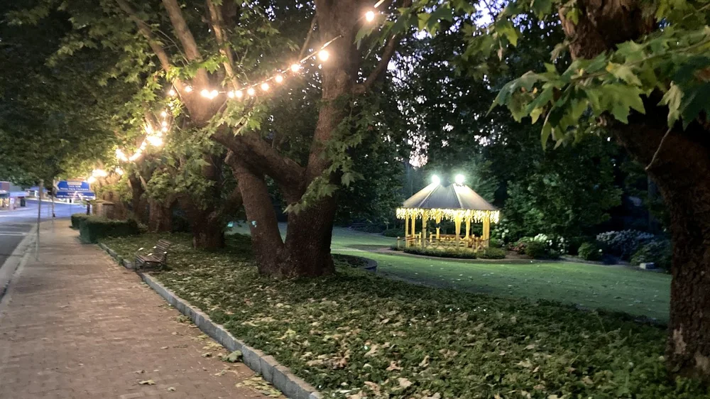 Evening lights along Leighton Gardens in Moss Vale